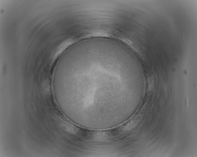 X0000074941266200609011106