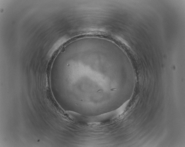 X0000074941267200609011106