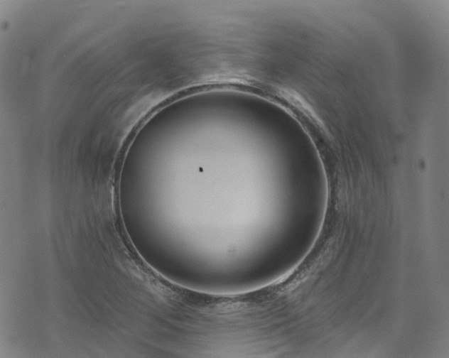 X0000074941268200609011106