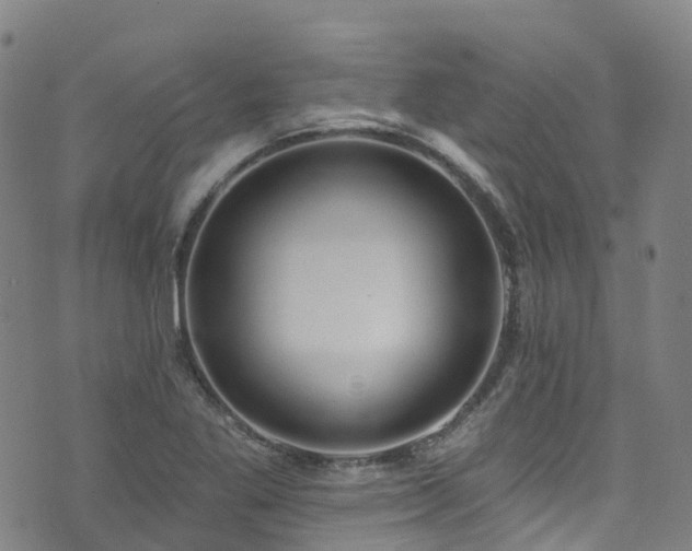 X0000074941269200609011106