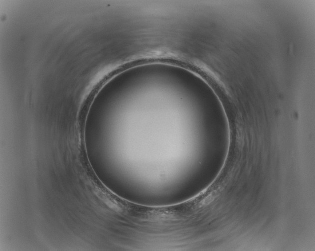 X0000074941270200609011106