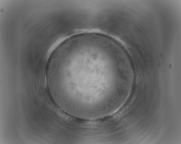 X0000074941271200609011106