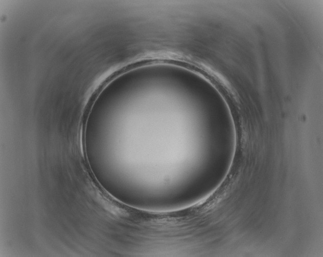 X0000074941272200609011106