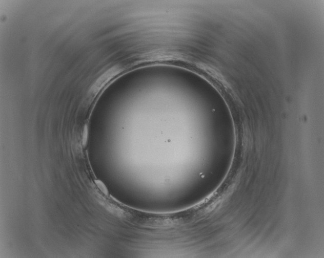 X0000074941273200609011106