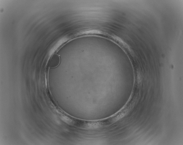 X0000074941274200609011106