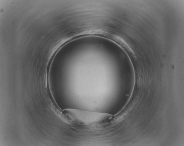 X0000074941276200609011106