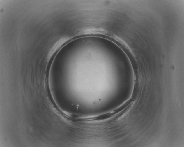 X0000074941277200609011106