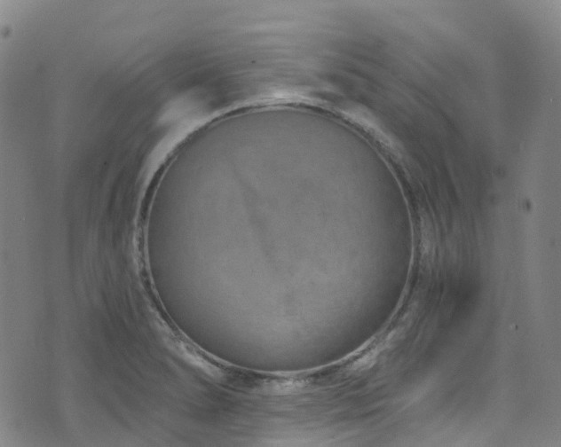 X0000074941278200609011106