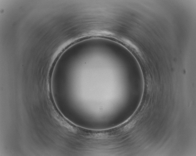 X0000074941280200609011106