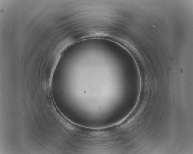 X0000074941281200609011106