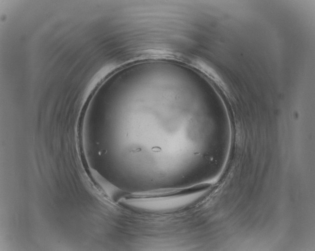 X0000074941283200609011106