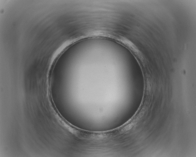 X0000074941286200609011106