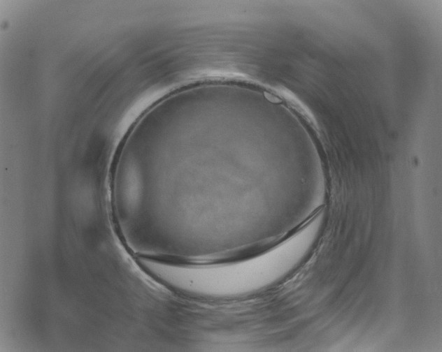 X0000074941287200609011106