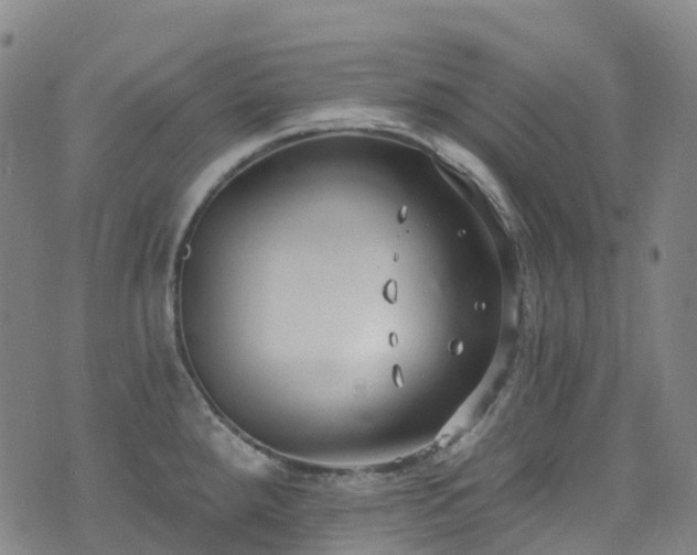 X0000074941288200609011106