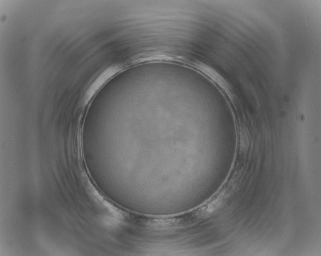 X0000074941290200609011106