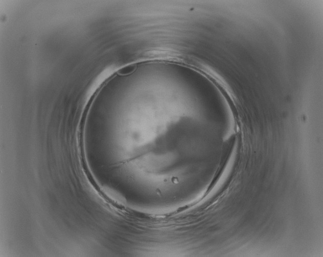 X0000074941291200609011106