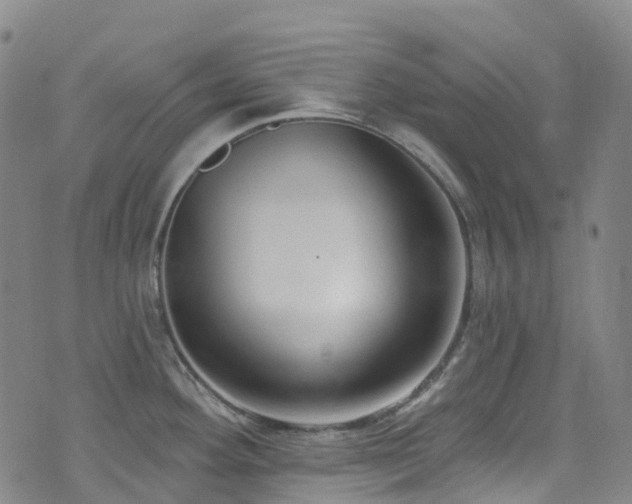 X0000074941292200609011106