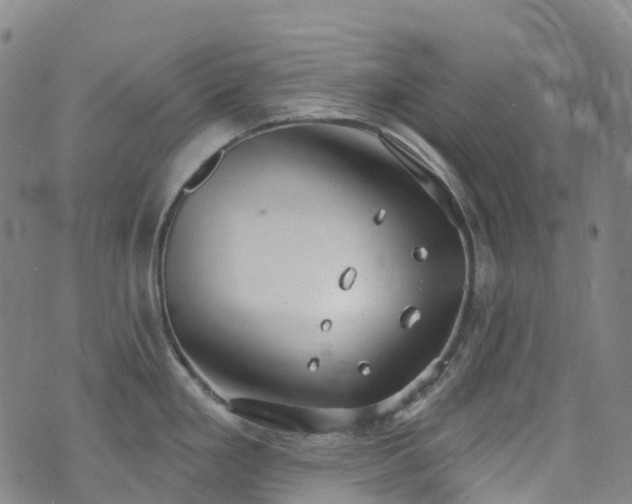 X0000074941293200609011106