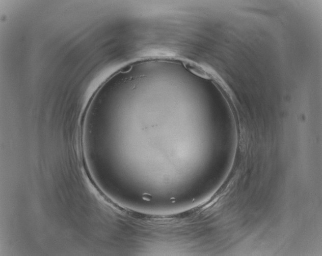 X0000074941295200609011106