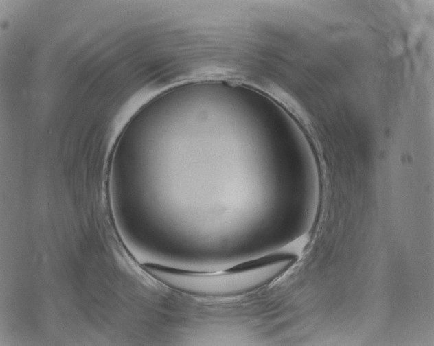 X0000074941296200609011106