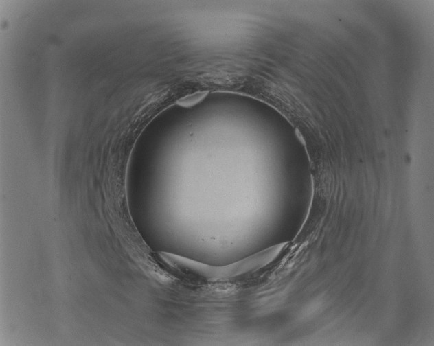 X0000074941297200609011105