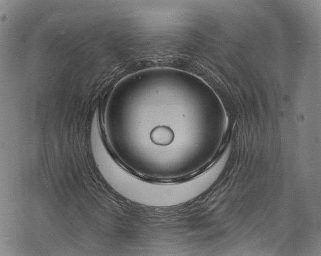 X0000074941298200609011105