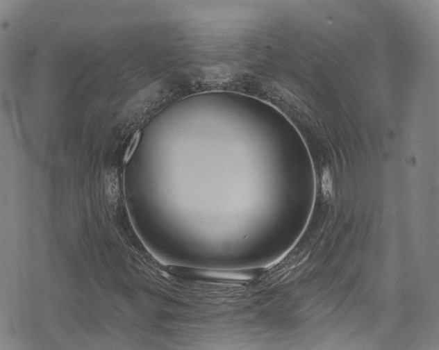 X0000074941299200609011105