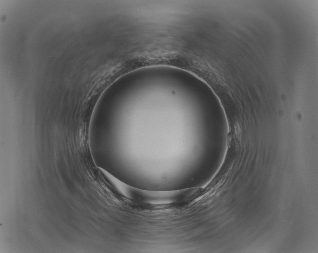 X0000074941300200609011105