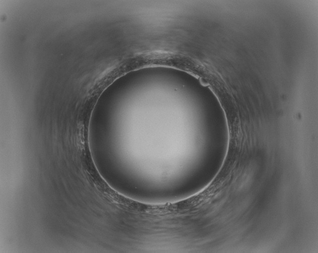 X0000074941301200609011105