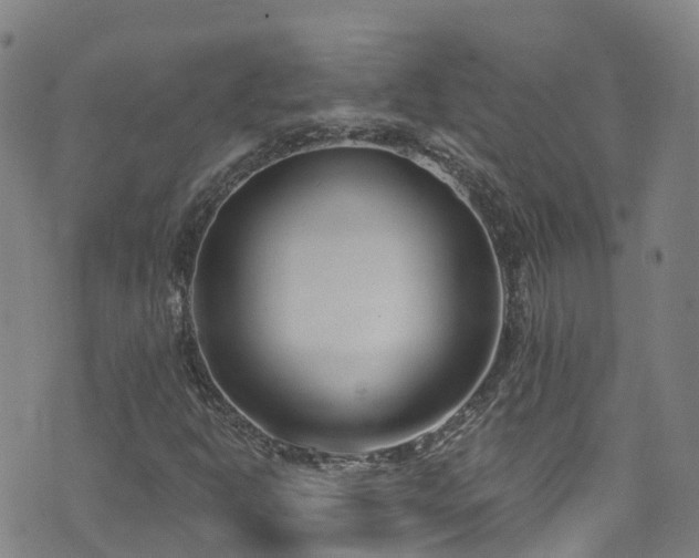 X0000074941302200609011105