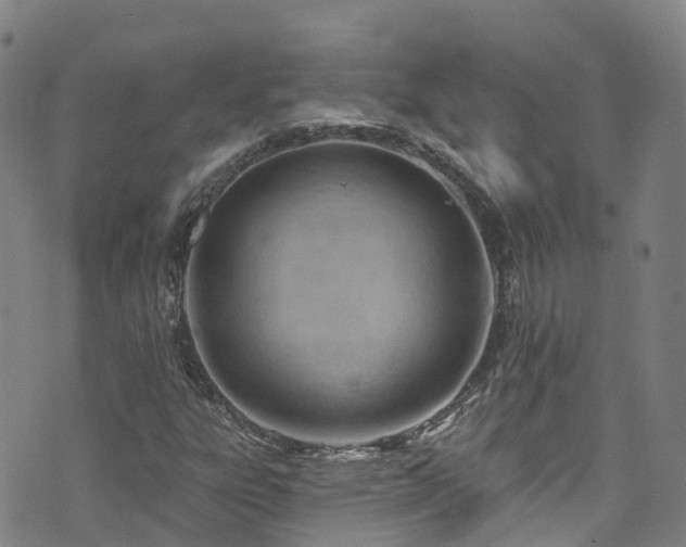 X0000074941303200609011105