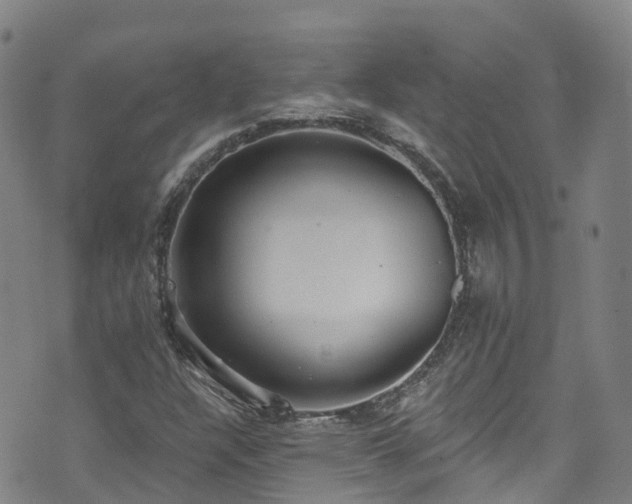 X0000074941304200609011105