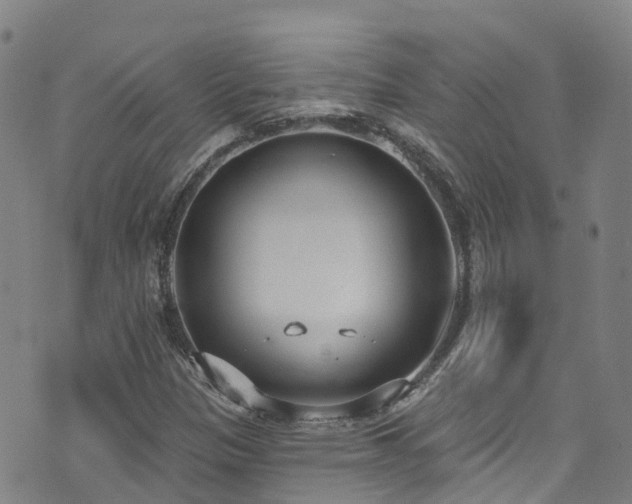 X0000074941305200609011105