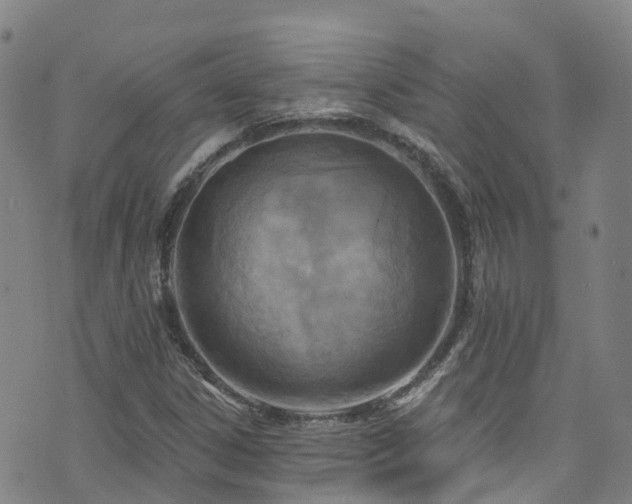 X0000074941306200609011105