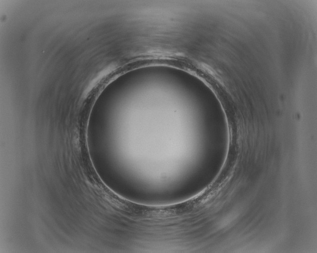 X0000074941307200609011105