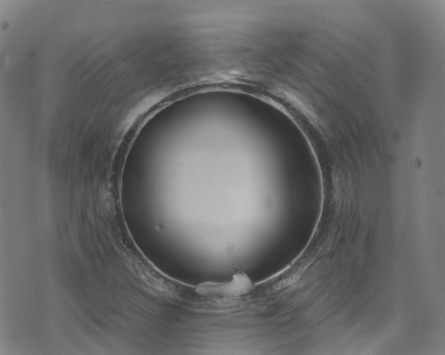 X0000074941308200609011105