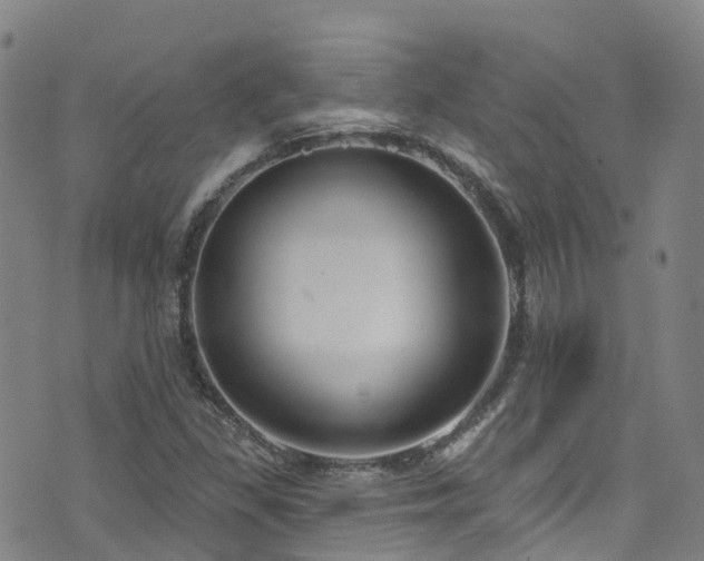 X0000074941309200609011105