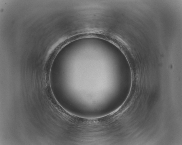 X0000074941310200609011105