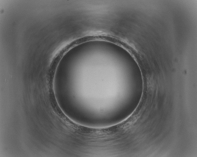 X0000074941311200609011105