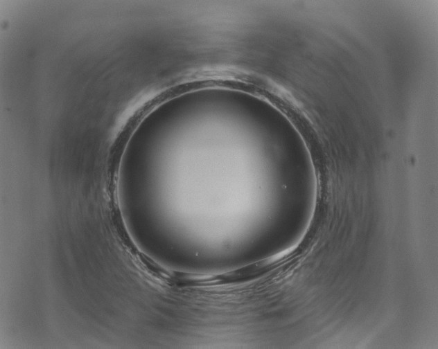 X0000074941312200609011105