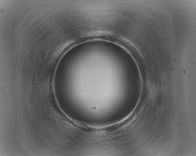 X0000074941313200609011105