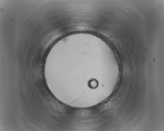 X0000074941314200609011106