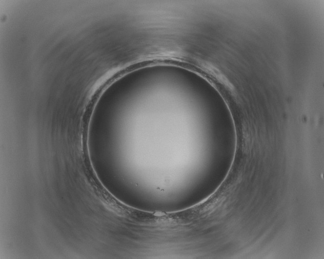 X0000074941316200609011106