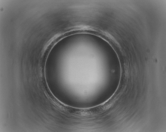 X0000074941318200609011106