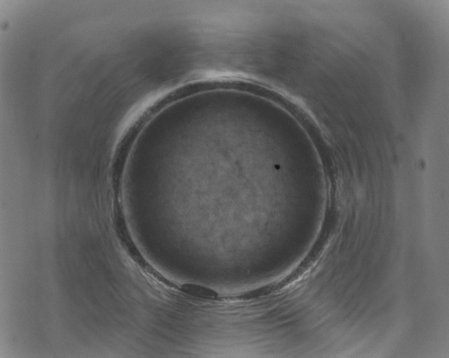 X0000074941319200609011106