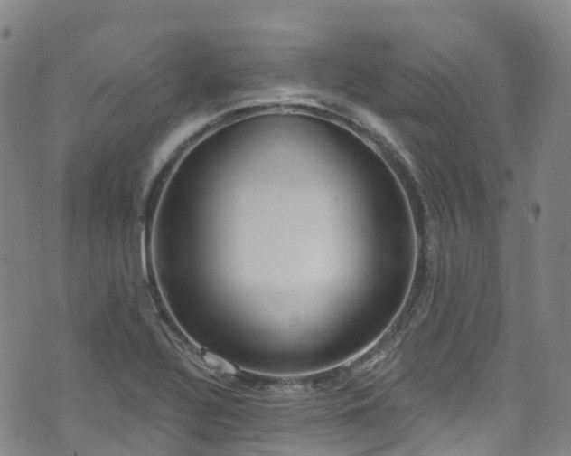 X0000074941320200609011106