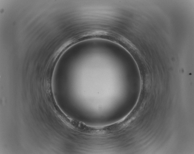 X0000074941321200609011106