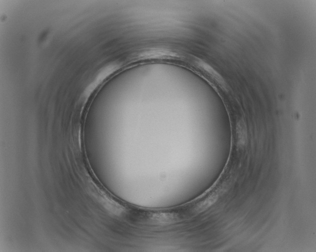 X0000074941322200609011106