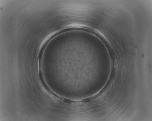 X0000074941323200609011106