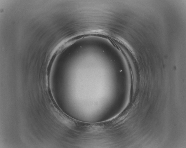 X0000074941324200609011106